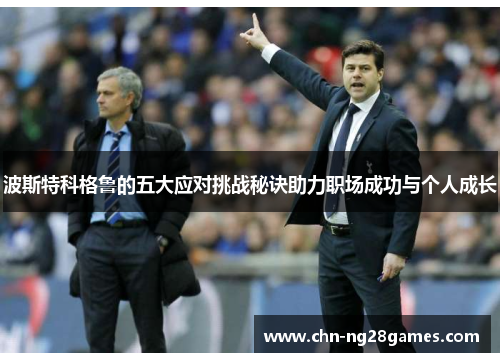 波斯特科格鲁的五大应对挑战秘诀助力职场成功与个人成长