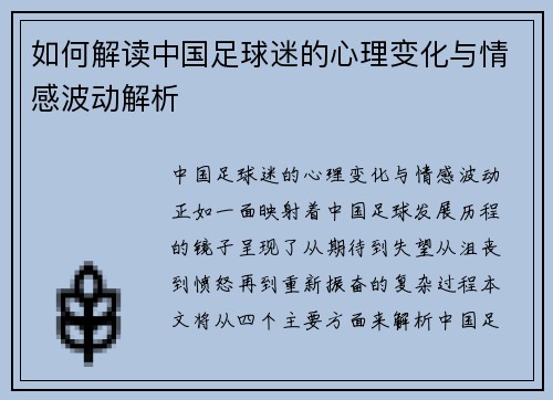 如何解读中国足球迷的心理变化与情感波动解析