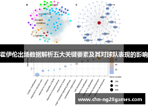霍伊伦出场数据解析五大关键要素及其对球队表现的影响
