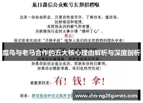 魔鸟与老马合作的五大核心理由解析与深度剖析