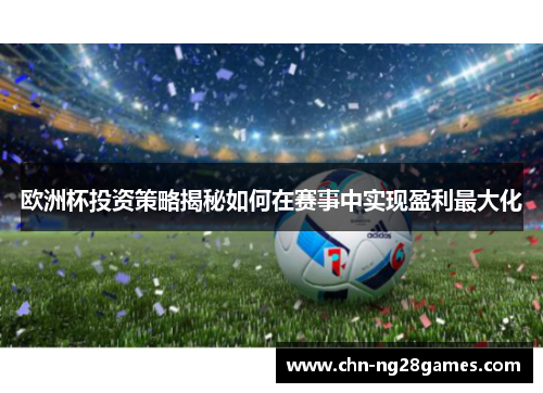 欧洲杯投资策略揭秘如何在赛事中实现盈利最大化