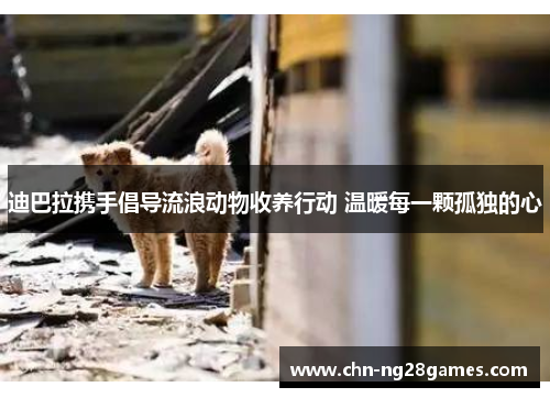 迪巴拉携手倡导流浪动物收养行动 温暖每一颗孤独的心