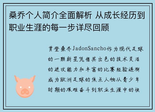 桑乔个人简介全面解析 从成长经历到职业生涯的每一步详尽回顾